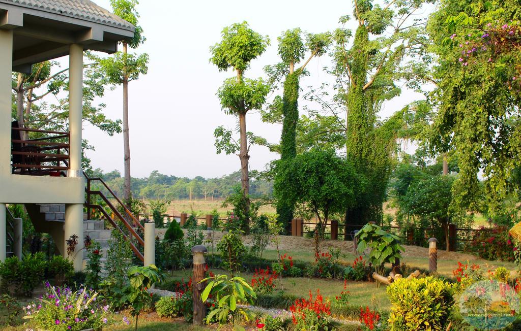 River View Jungle Camp Sauraha Exteriér fotografie