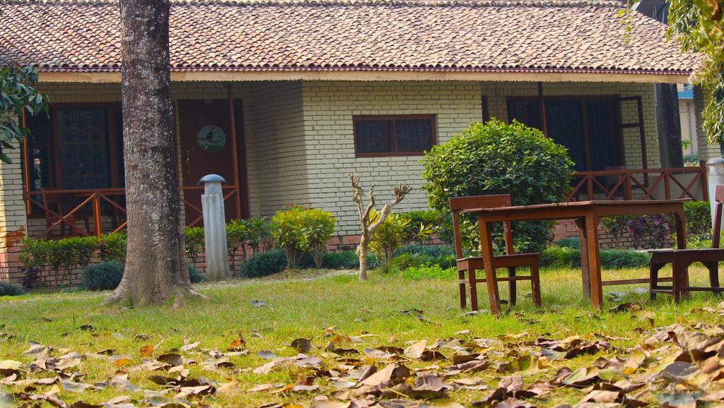 River View Jungle Camp Sauraha Exteriér fotografie
