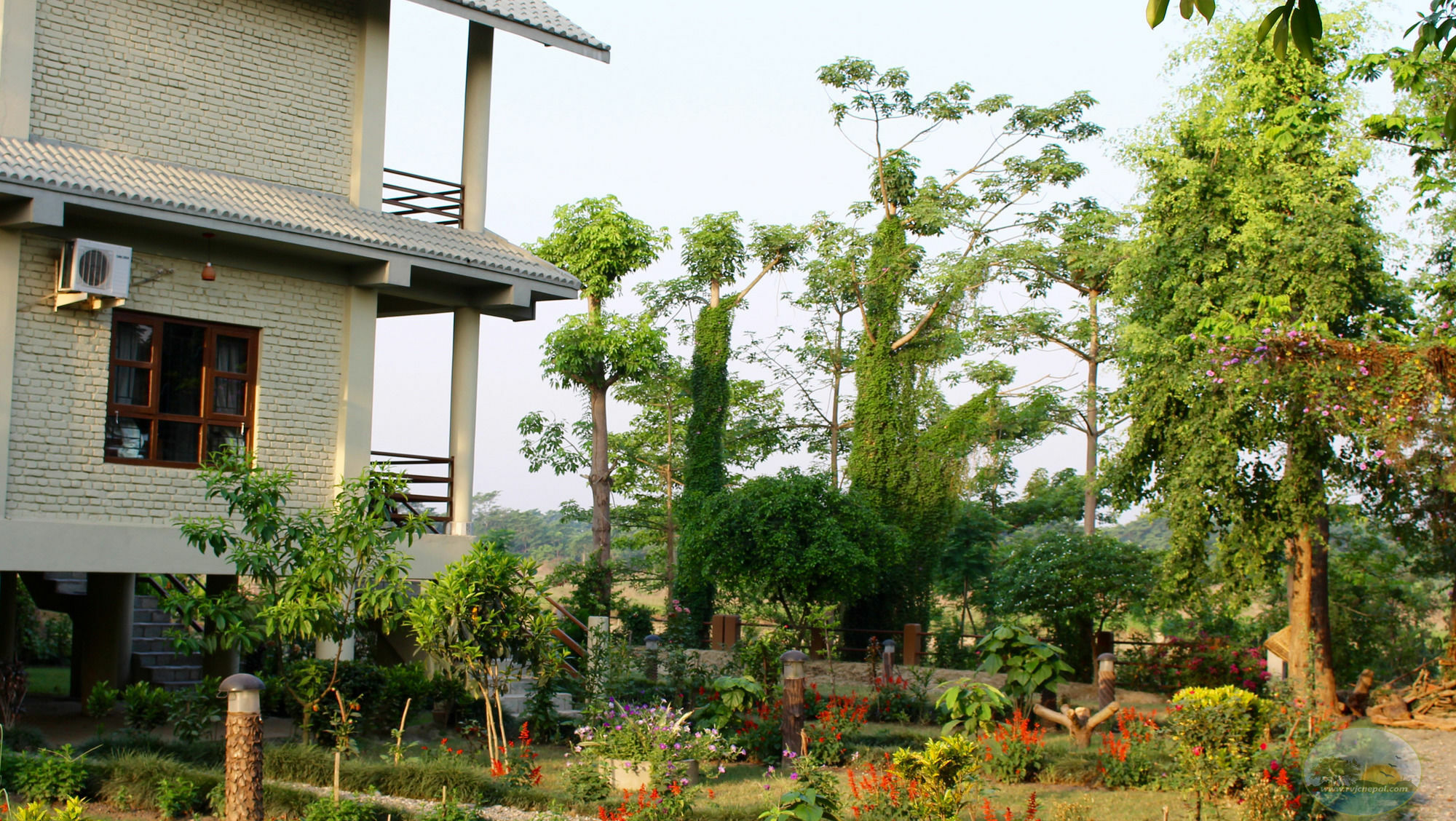 River View Jungle Camp Sauraha Exteriér fotografie